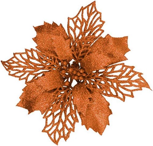 Fiori stella natale - stella,