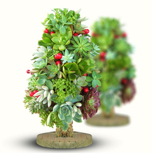 Vaso composizione fiori - , bambù