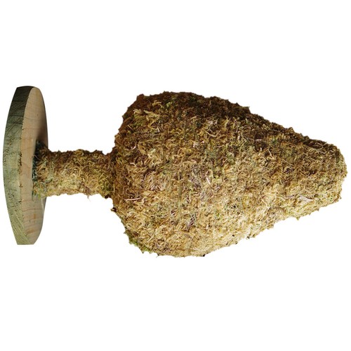 Vaso per piantare albero - vaso,