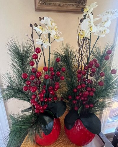 Orchidea natalizia pino bacche